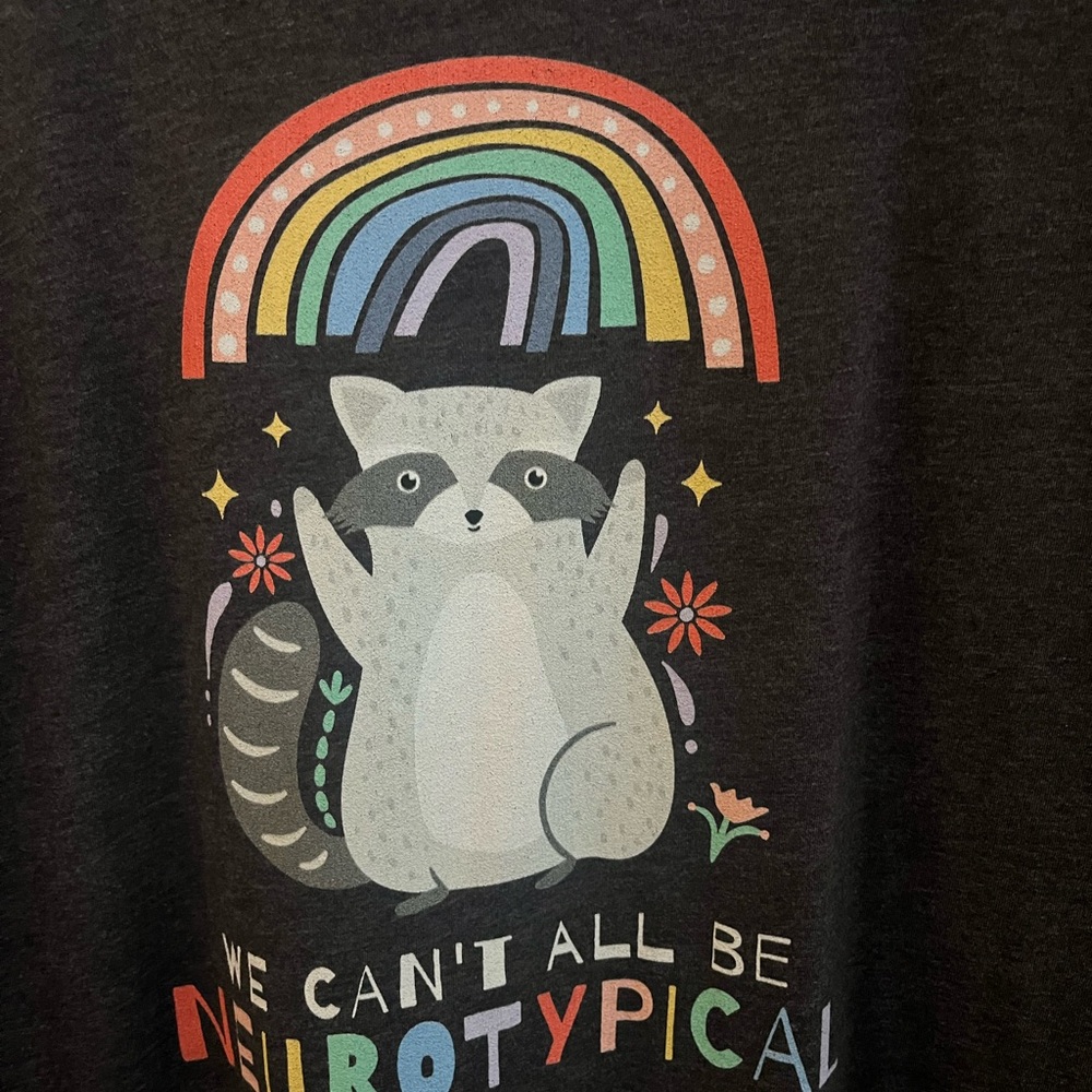 Bella Canvas Charcoal Raccoon Graphic Tee